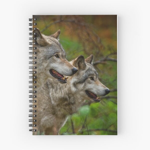 Item preview, Timber Wolves designed and sold by WolvesOnly.