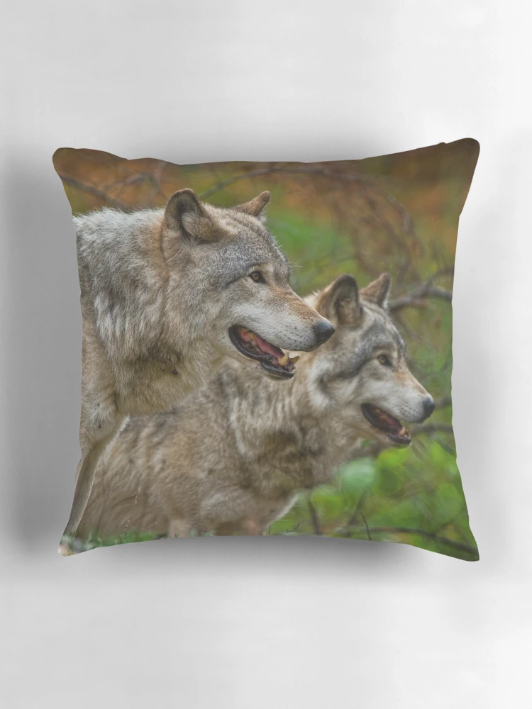 Thumbnail 3 of 4, Pillow, Timber Wolves designed and sold by WolvesOnly.