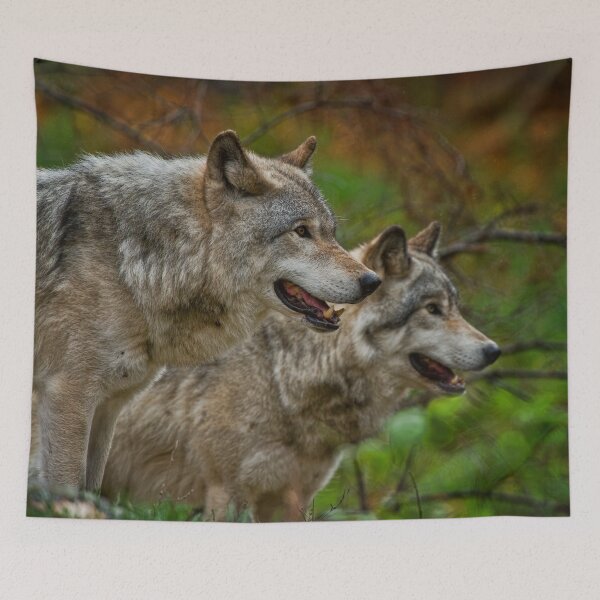 Item preview, Timber Wolves designed and sold by WolvesOnly.