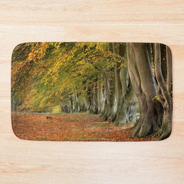 Item preview, Autumn Beech Trees designed and sold by Phil Buckle.