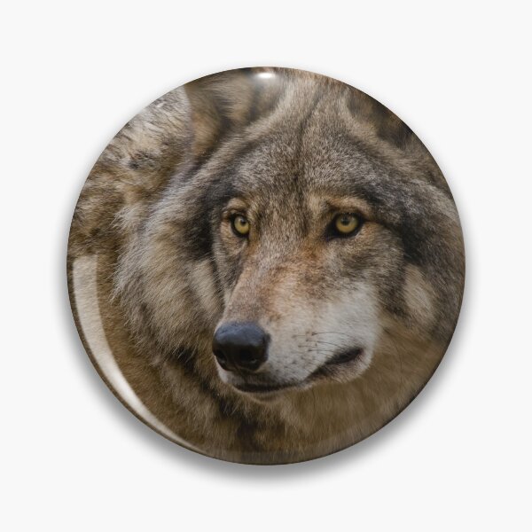 Item preview, Timber Wolf designed and sold by WolvesOnly.