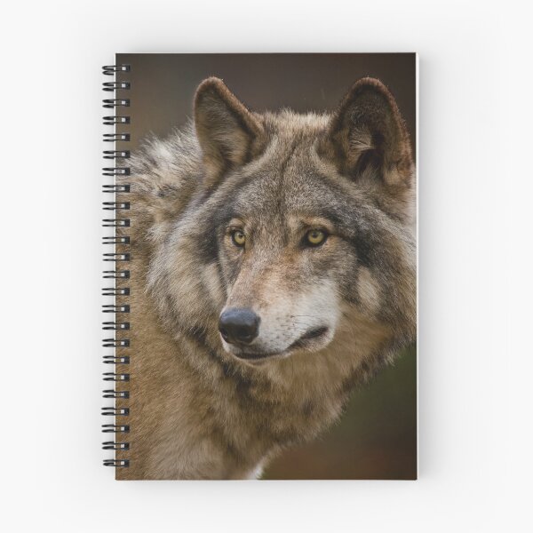 Item preview, Timber Wolf designed and sold by WolvesOnly.