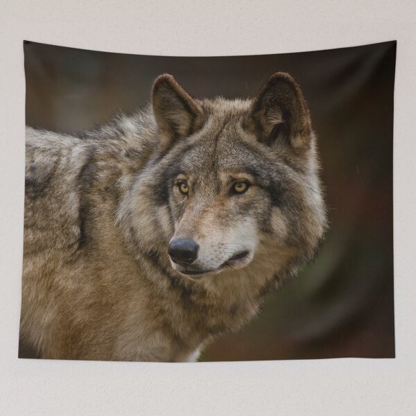 Item preview, Timber Wolf designed and sold by WolvesOnly.