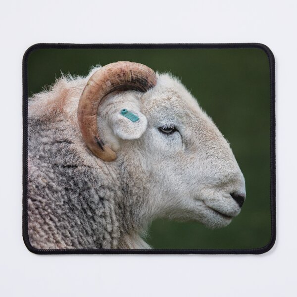 Item preview, Herdy Ram designed and sold by Phil Buckle.