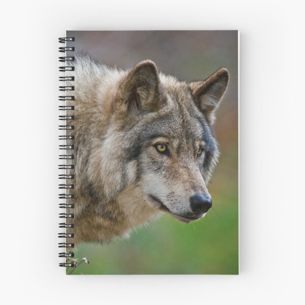 Item preview, Timber Wolf designed and sold by WolvesOnly.