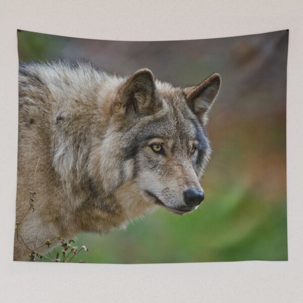 Item preview, Timber Wolf designed and sold by WolvesOnly.