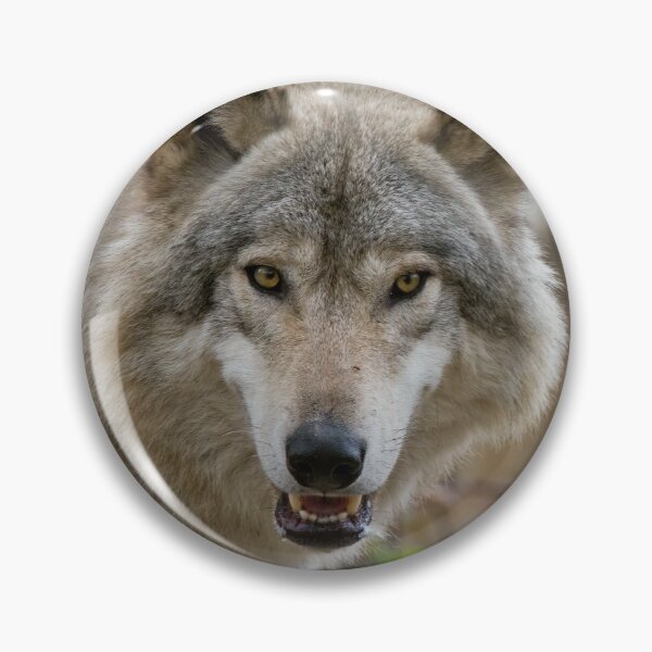 Artikelvorschau, Timber Wölfe entworfen und verkauft von WolvesOnly.