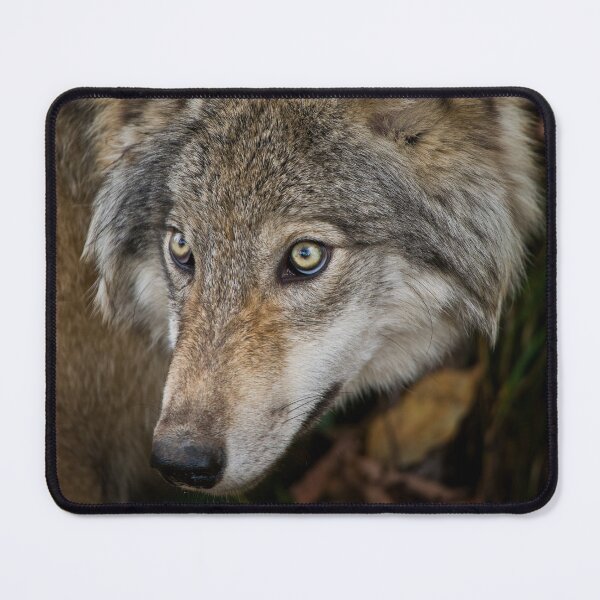 Item preview, Timber Wolf designed and sold by WolvesOnly.