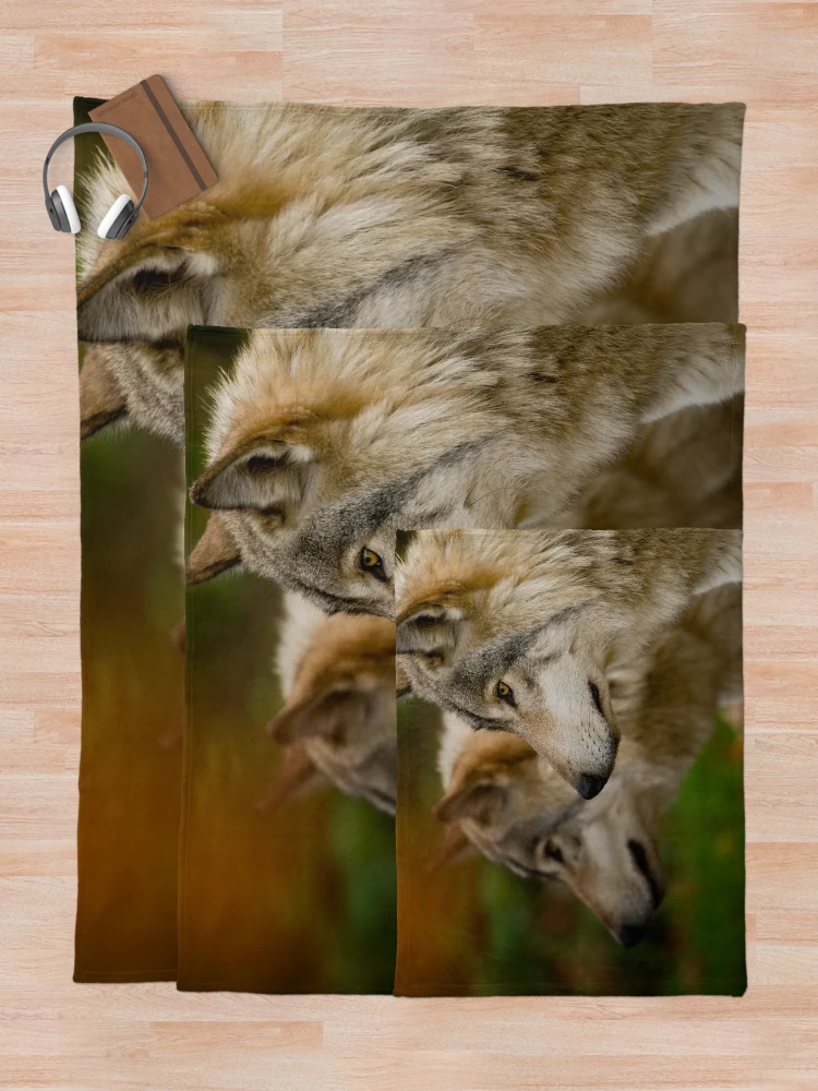 Thumbnail 5 of 6, Throw Blanket, Timber Wolves designed and sold by WolvesOnly.
