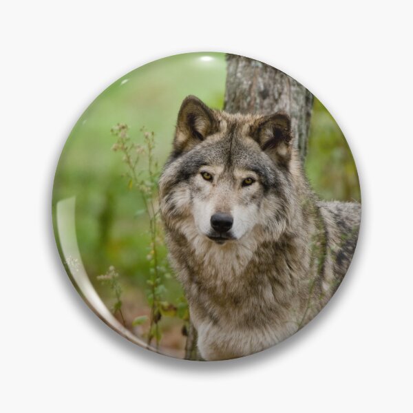 Item preview, Timber Wolf designed and sold by WolvesOnly.