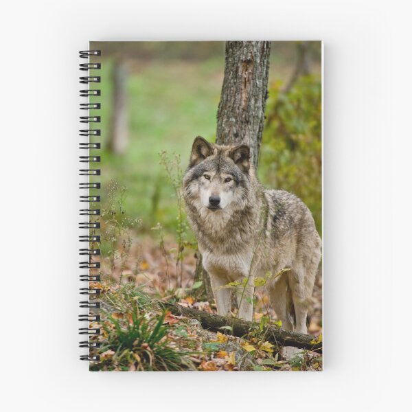 Item preview, Timber Wolf designed and sold by WolvesOnly.
