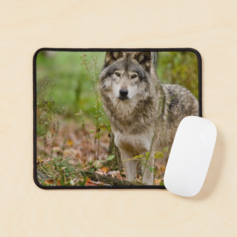 Item preview, Mouse Pad designed and sold by WolvesOnly.