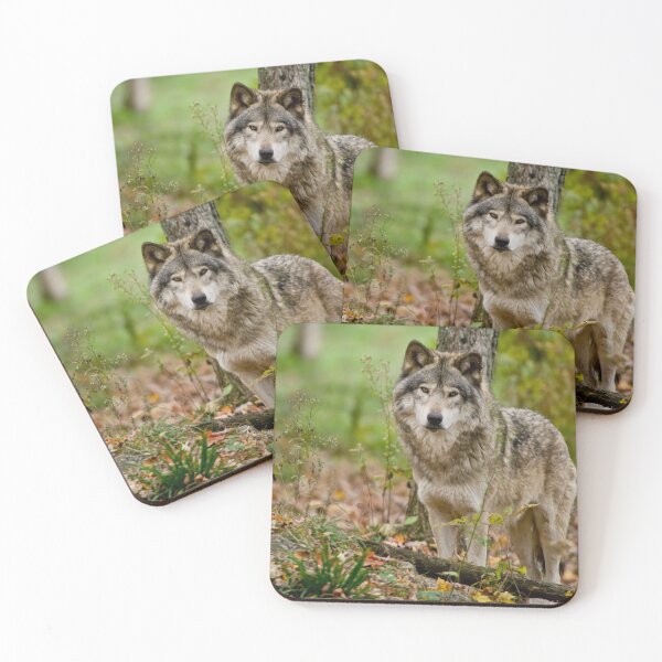 Item preview, Timber Wolf designed and sold by WolvesOnly.