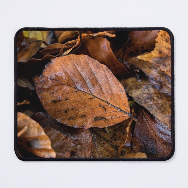 Item preview, Autumn leaf litter designed and sold by Phil Buckle.