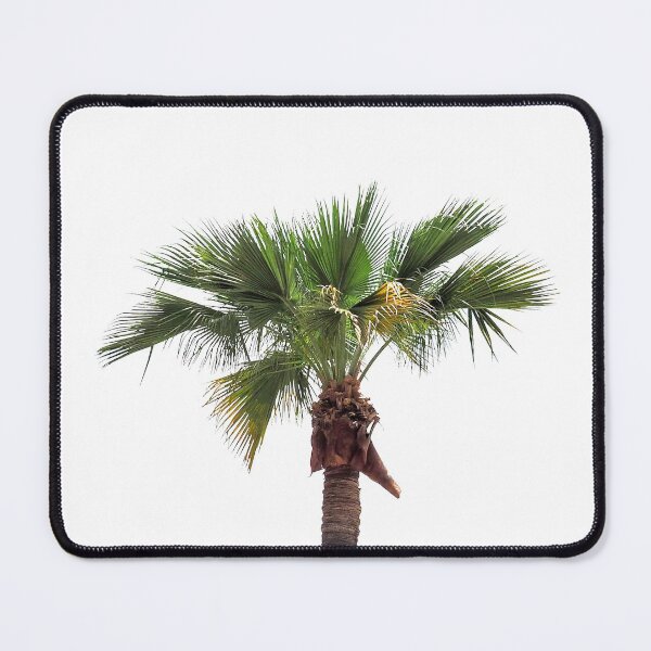 Item preview, palm tree designed and sold by europephotos.