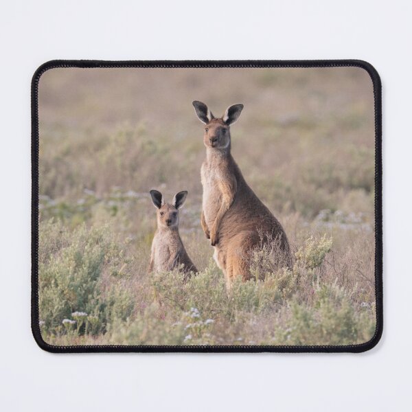 Item preview, Mumma Roo with joey designed and sold by Kim Wormald  ~  lirralirra.