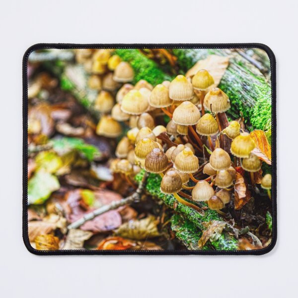 Item preview, Mossy Shrooms designed and sold by James Rutherford.