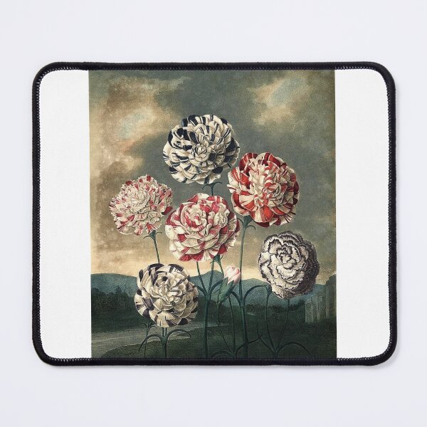 Item preview, Vintage Flowers Art Print designed and sold by Eva Vincent.