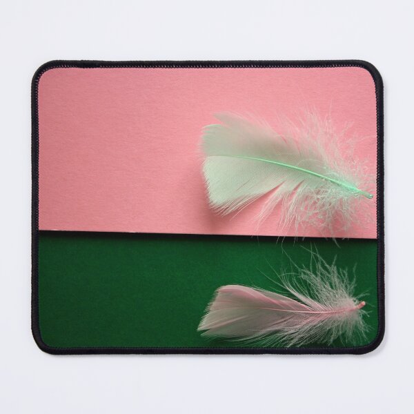 Item preview, Two Pastel Feathers designed and sold by Asaha17.