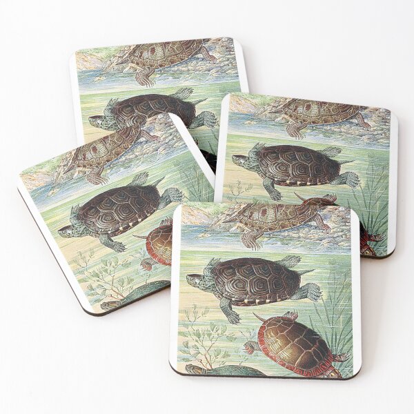 Item preview, Vintage Turtles Art Print designed and sold by Eva Vincent.