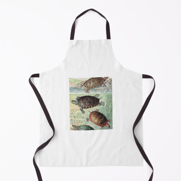 Item preview, Vintage Turtles Art Print designed and sold by Eva Vincent.