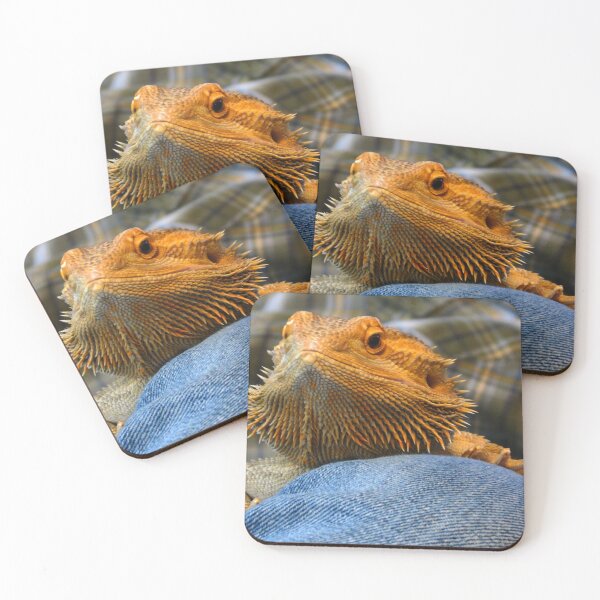Item preview, Bearded Dragon on knee designed and sold by foozma73.