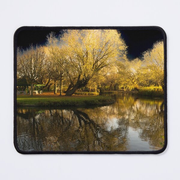 Item preview, Locke Park Redcar designed and sold by grumpykeith.