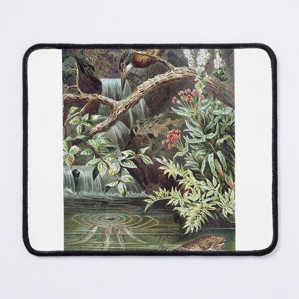 Item preview, Aesthetic Flora and Fauna Art Print designed and sold by Eva Vincent.