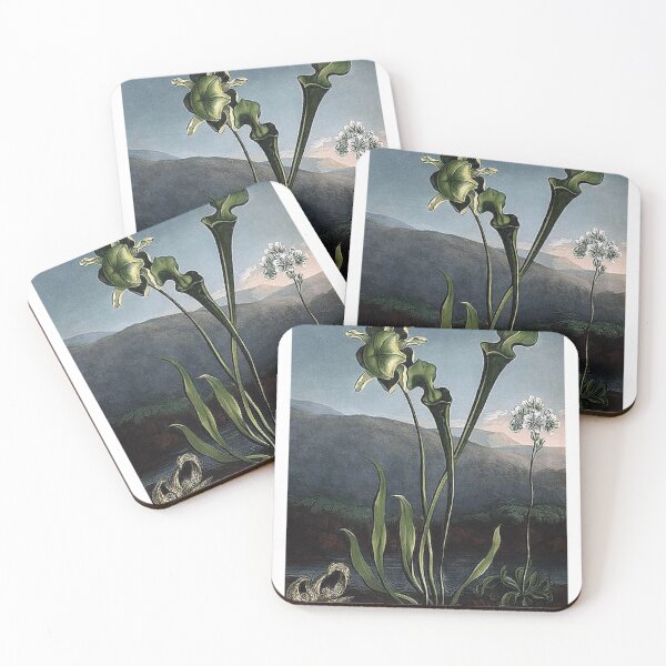 Item preview, Vintage Flowers Art Print designed and sold by Eva Vincent.