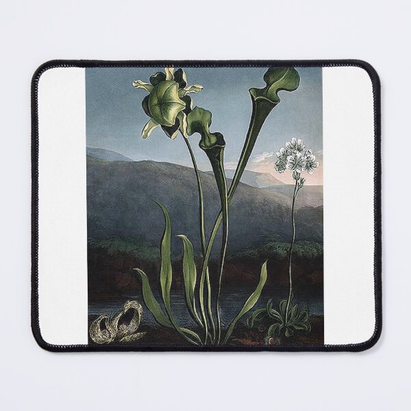 Item preview, Vintage Flowers Art Print designed and sold by Eva Vincent.