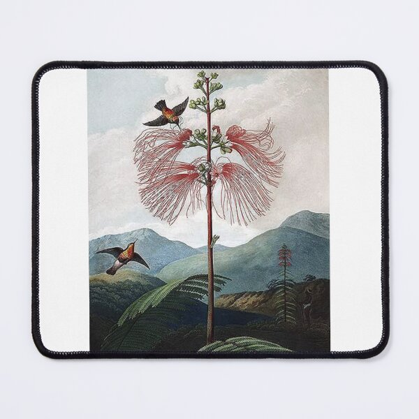 Item preview, Aesthetic Flower Art Print designed and sold by Eva Vincent.