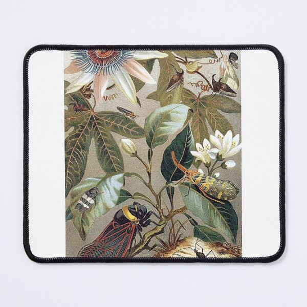 Item preview, Aesthetic Botanical Art Print designed and sold by Eva Vincent.