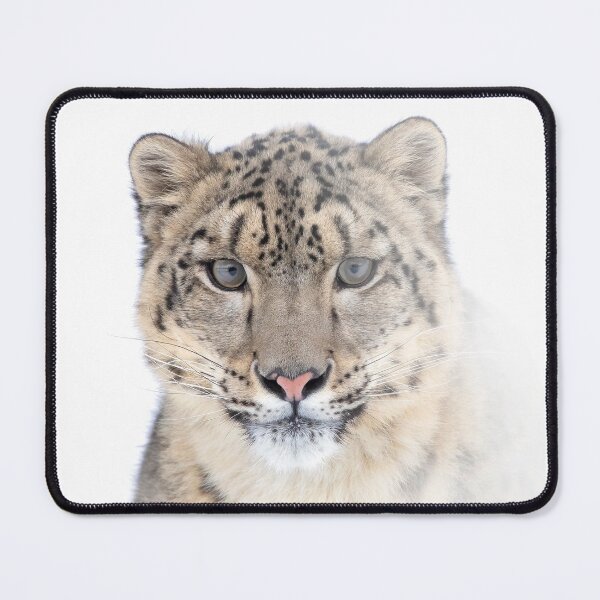 Item preview, Portrait of a Snow Leopard designed and sold by James Cumming.