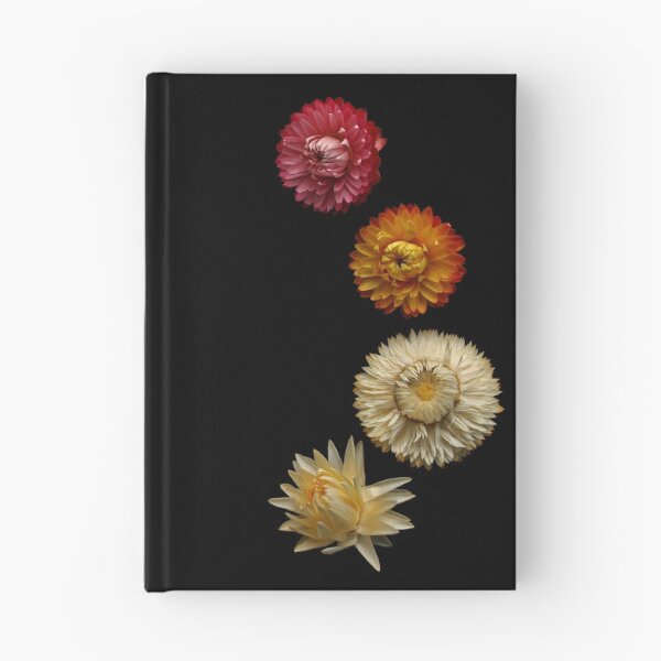 Item preview, Strawflowers Pattern designed and sold by Asaha17.