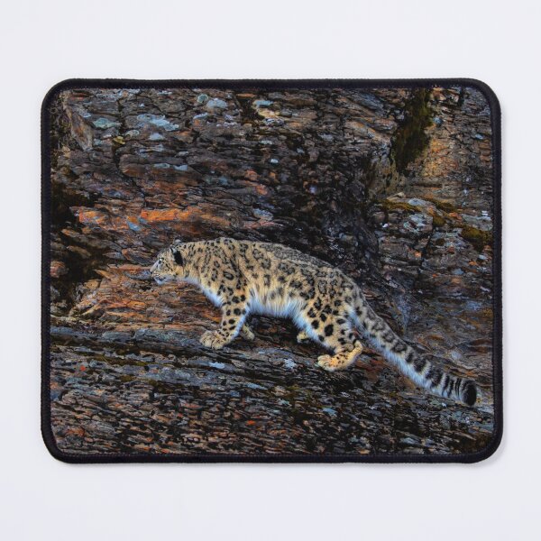 Item preview, Snow Leopard on rocky cliff designed and sold by James Cumming.
