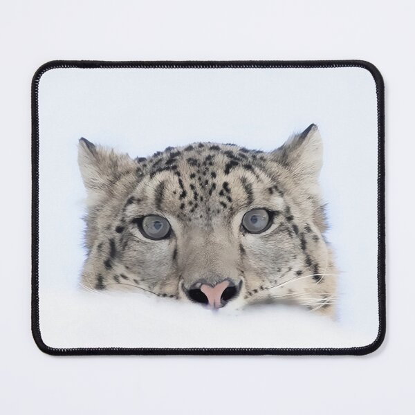 Item preview, Snow Leopard peeking  designed and sold by James Cumming.