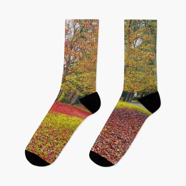 Item preview, Fall Park designed and sold by AlexMancic.
