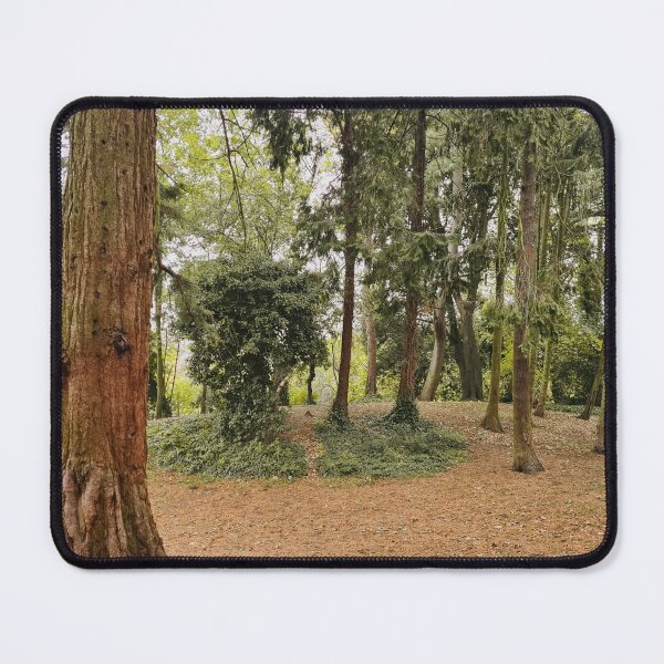 Artikelvorschau, Herbstparkwald entworfen und verkauft von AlexMancic.