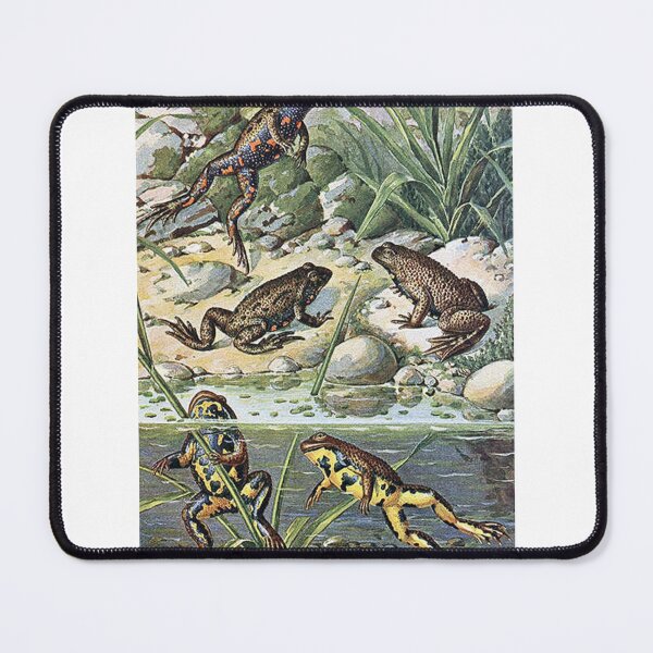 Item preview, Vintage Frogs Art Print designed and sold by Eva Vincent.