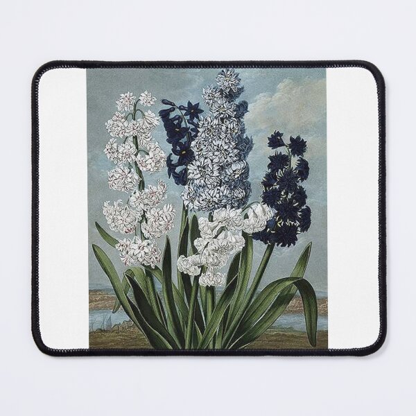 Item preview, Aesthetic Flowers Art Print designed and sold by Eva Vincent.