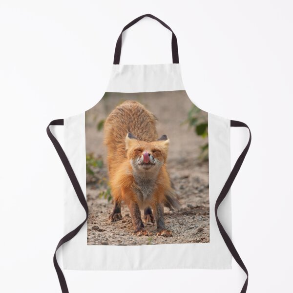 Item preview, Red Fox Stretch - Algonquin Park, Canada designed and sold by James Cumming.