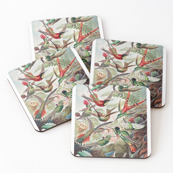 Item preview, Vintage Birds Art Print designed and sold by Eva Vincent.