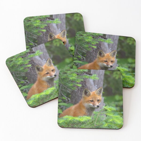Item preview, Curious Kit - Red Fox, Algonquin Park, Canada designed and sold by James Cumming.