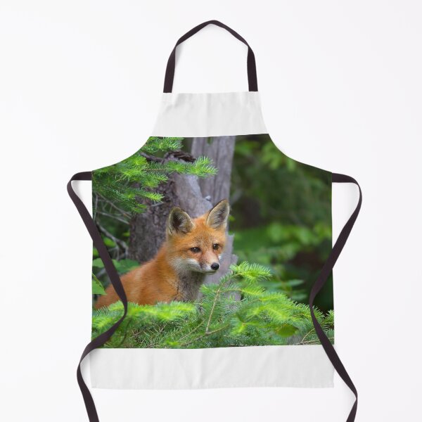 Item preview, Curious Kit - Red Fox, Algonquin Park, Canada designed and sold by James Cumming.