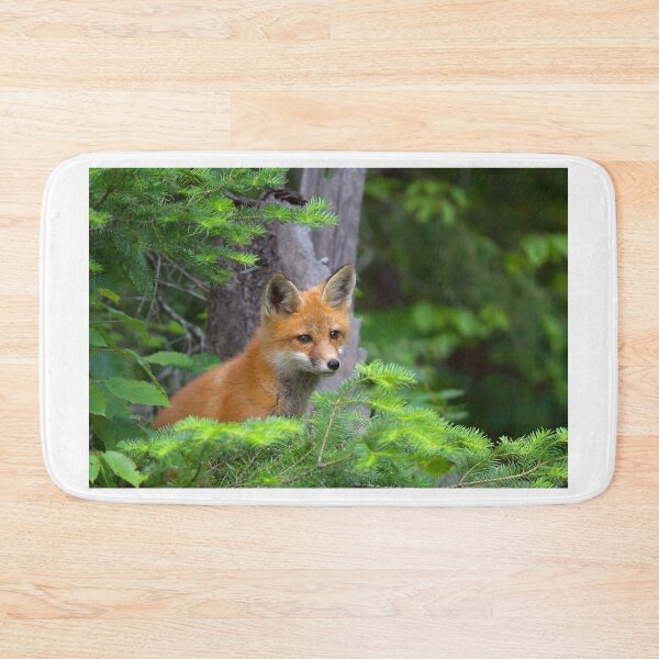 Item preview, Curious Kit - Red Fox, Algonquin Park, Canada designed and sold by James Cumming.