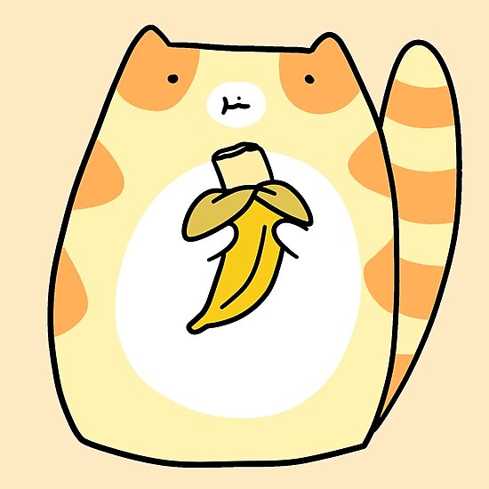 cat eats banana