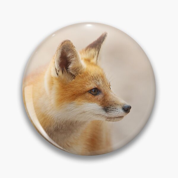 Item preview, Red Fox kit - Algonquin Park, Canada designed and sold by James Cumming.
