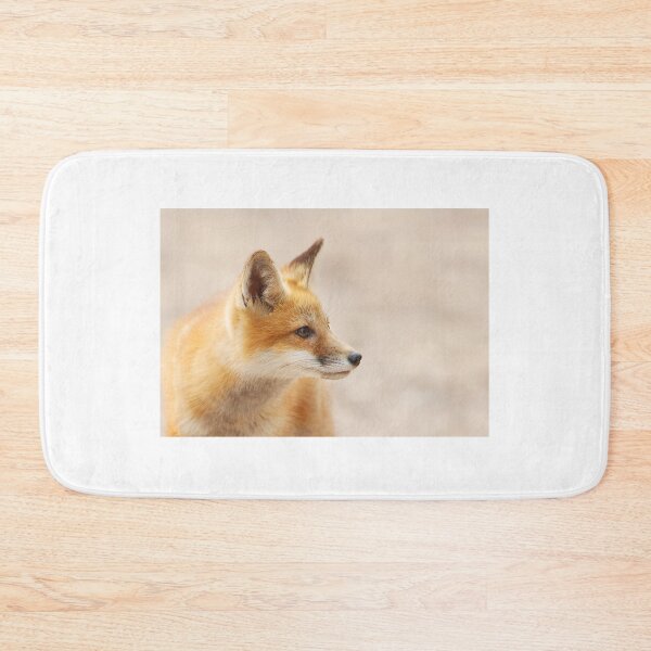 Item preview, Red Fox kit - Algonquin Park, Canada designed and sold by James Cumming.