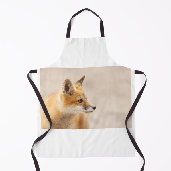 Artikelvorschau, Red Fox-Kit - Algonquin Park, Kanada entworfen und verkauft von James Cumming.