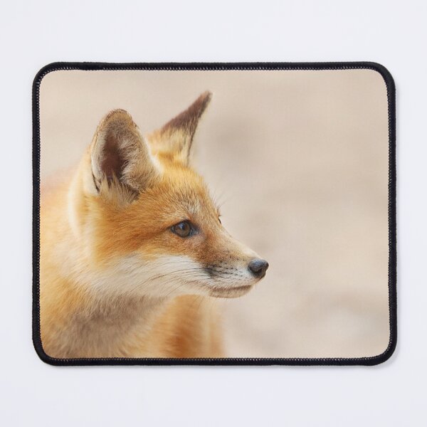 Item preview, Red Fox kit - Algonquin Park, Canada designed and sold by James Cumming.